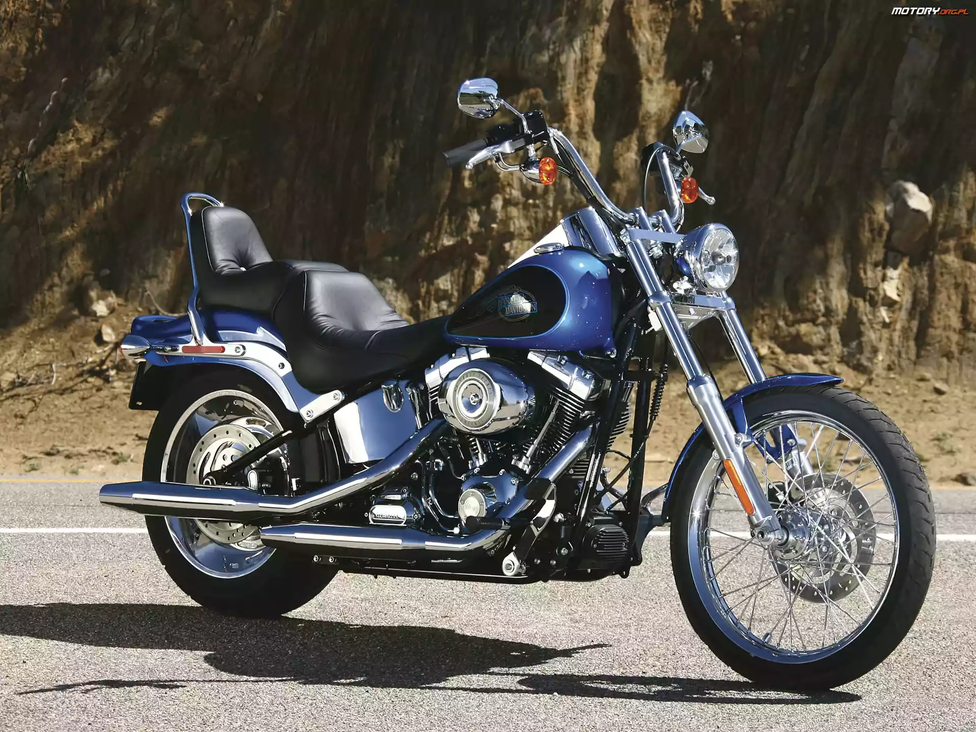 Oleju, Harley Davidson Softail Custom, Chłodnica