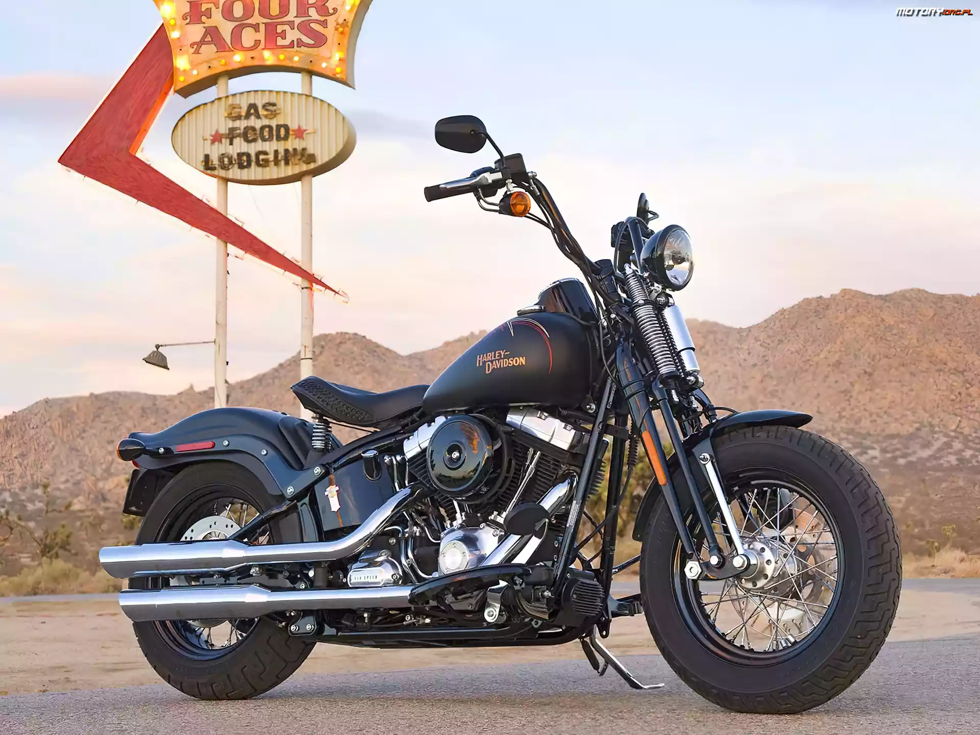 Harley Davidson Softail Cross Bones