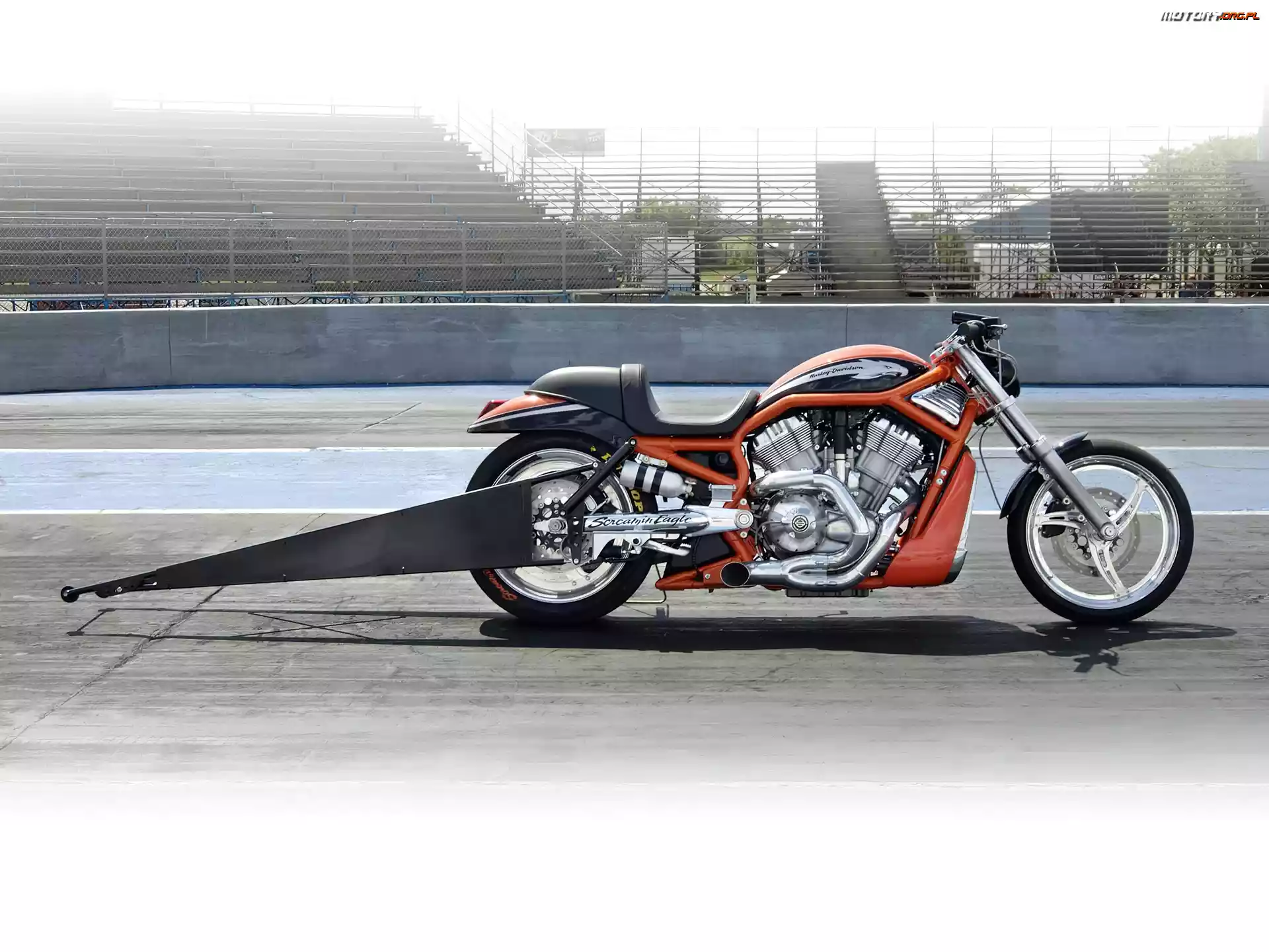 Drag, Harley Davidson V-Rod Muscle