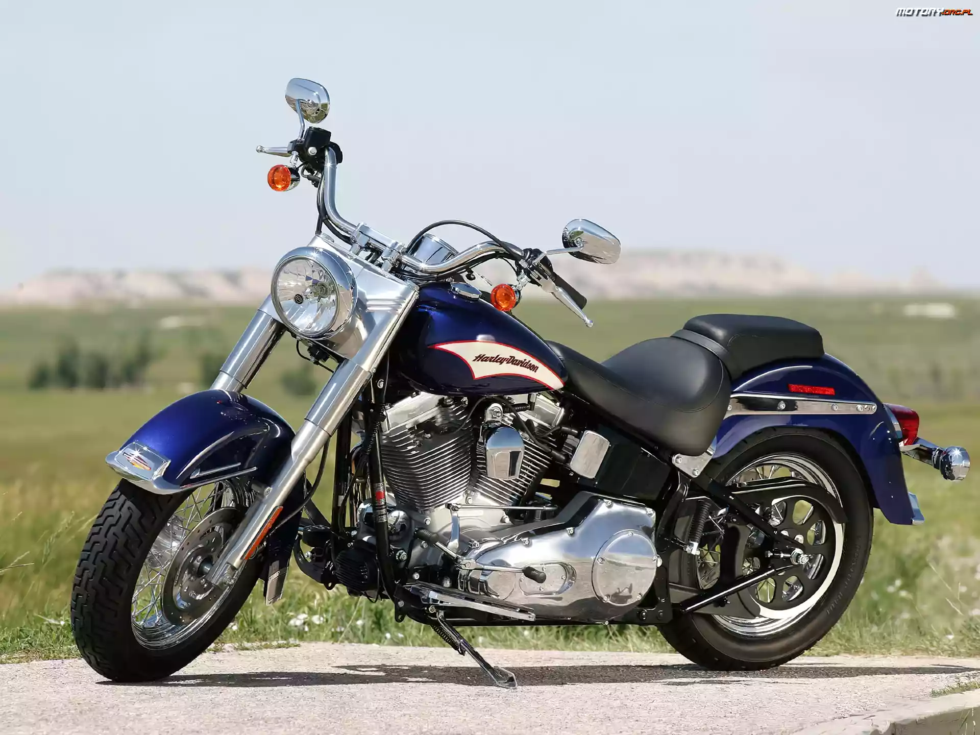 Napędowy, Harley Davidson Softail, Pas