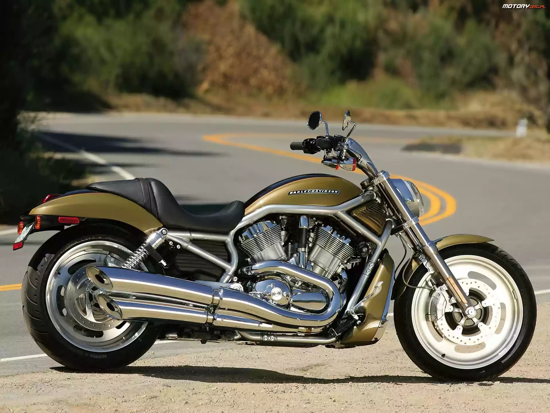Malowanie, Harley Davidson V-Rod, Unikalne