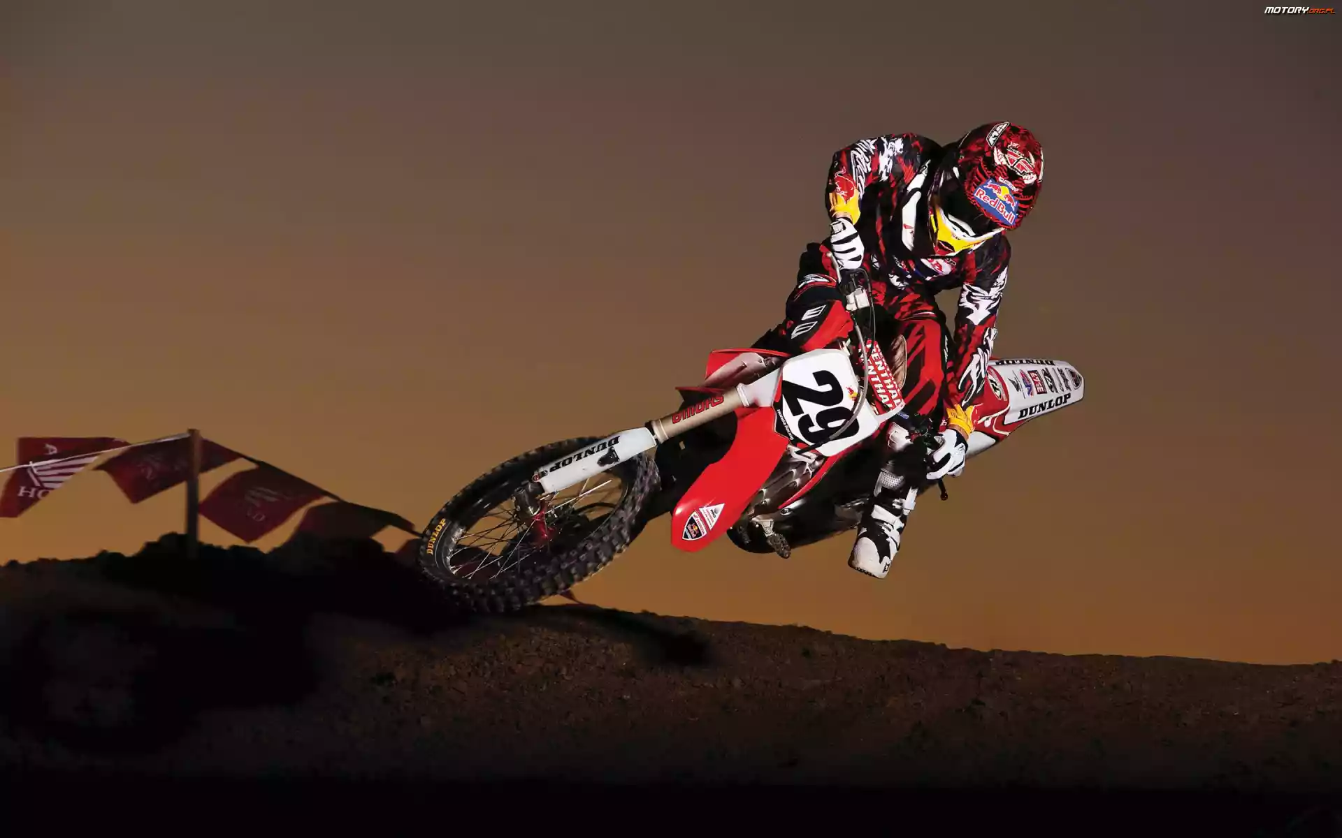 Dunlop, Honda Red Bull, Opony