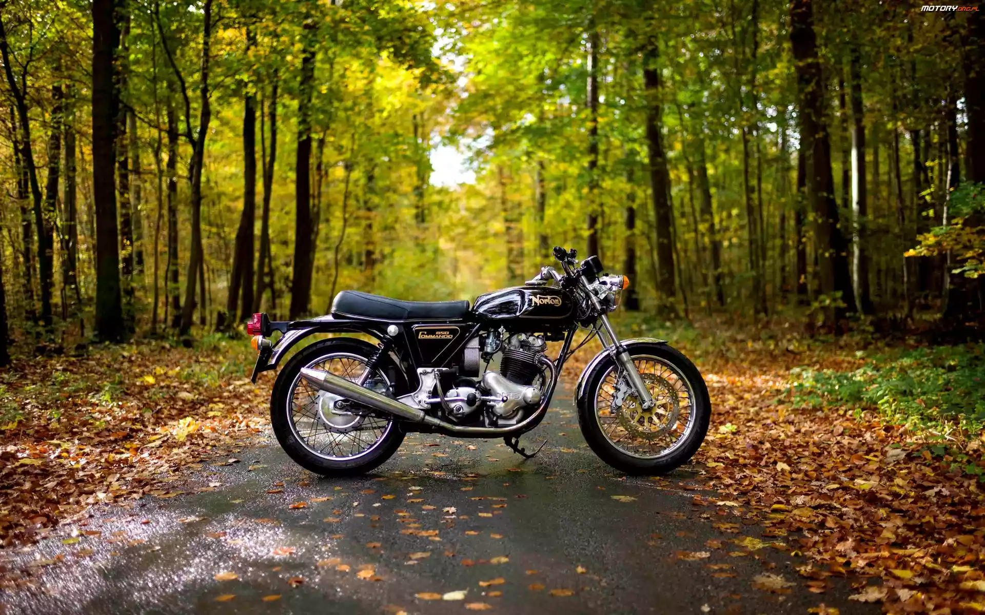 Jesień, Liście, Las, Motocykl, Droga