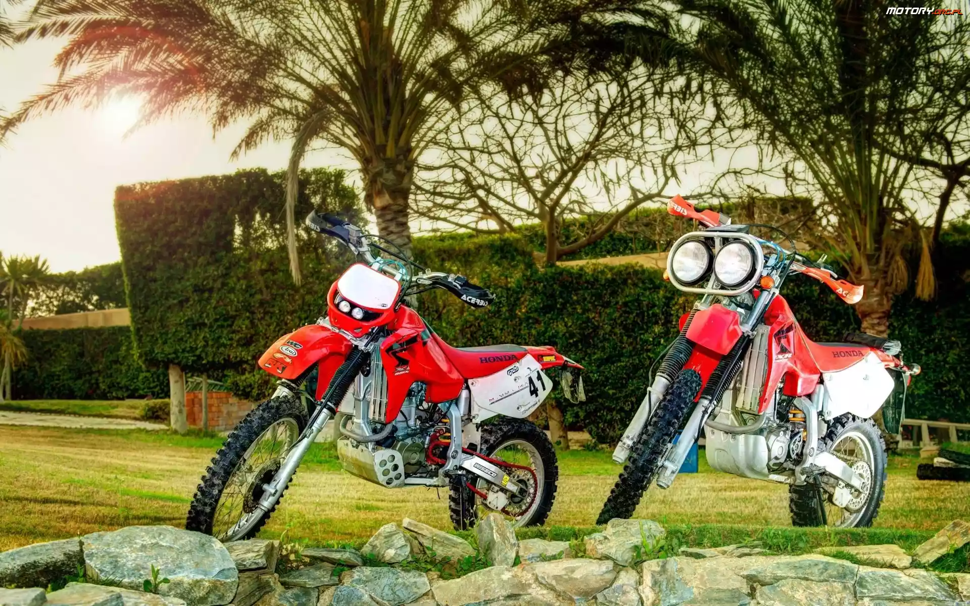Kamienie, Palmy, Motocykle, Dwa, Honda XR