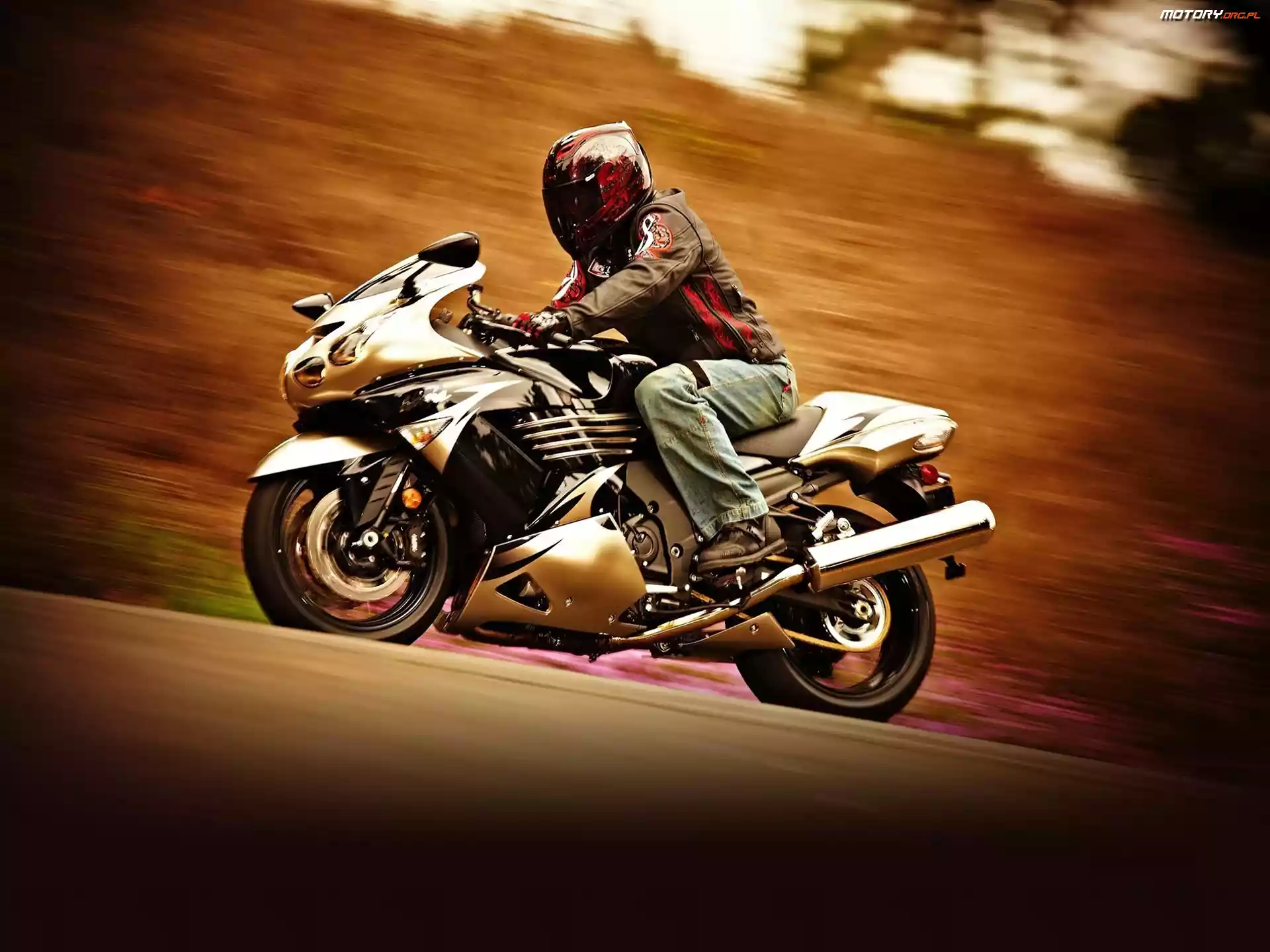 Turystyk, Kawasaki Ninja ZX-14