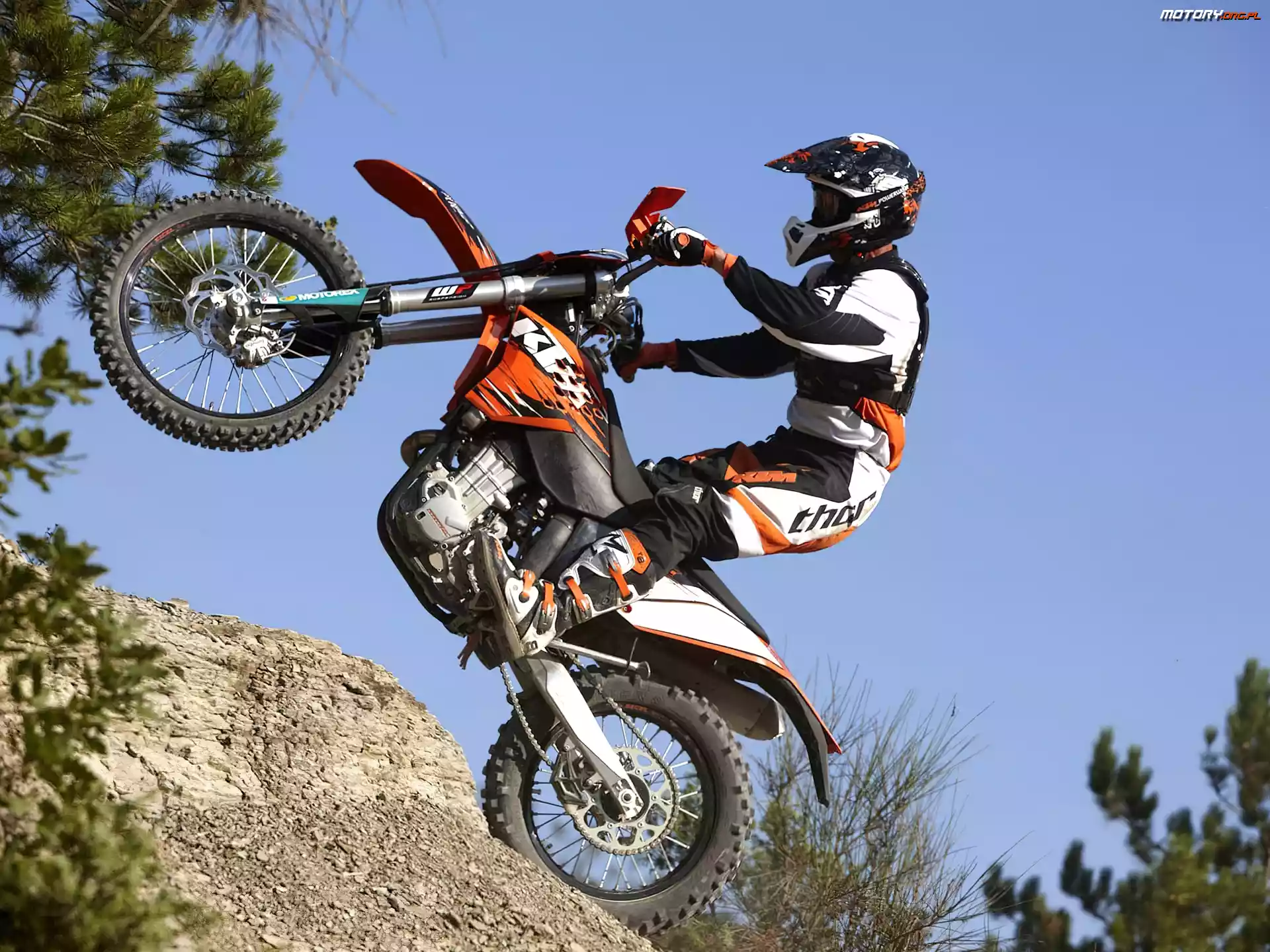Podjazd, KTM 450 EXC, Stromy
