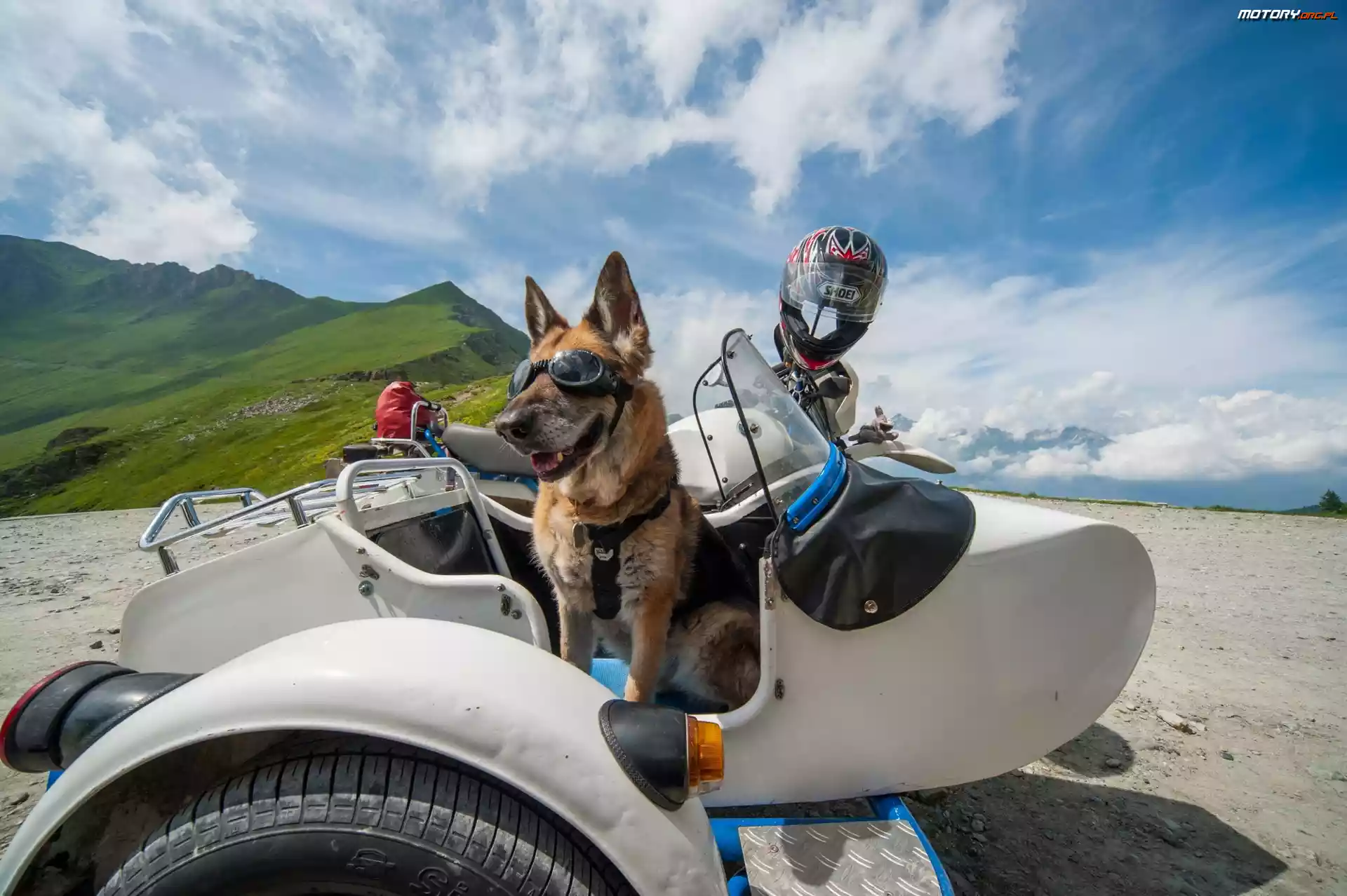 Śmieszne, Okulary, Motocykl, Owczarek Niemiecki, Kask