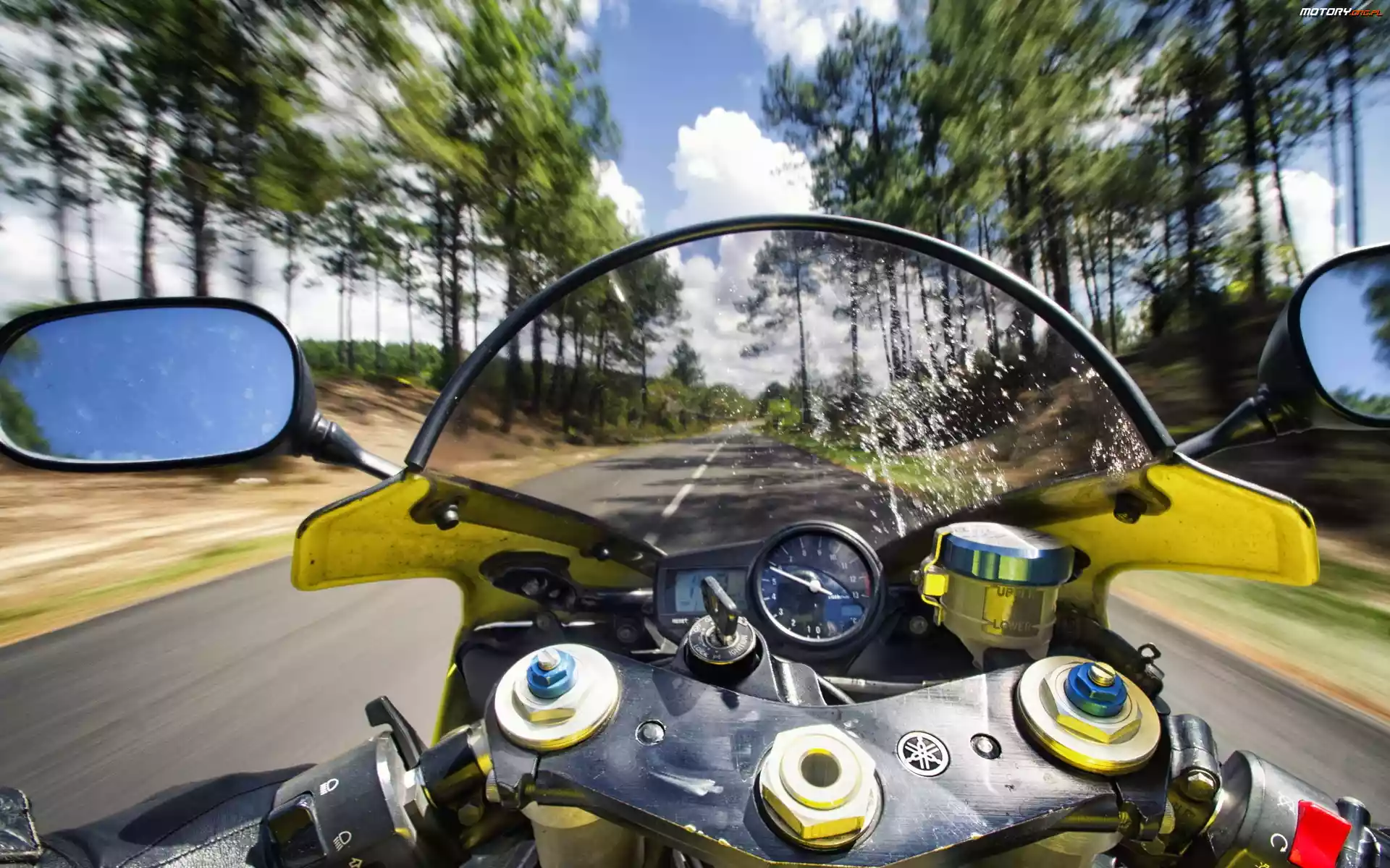 Drzewa, Motocykl, Droga