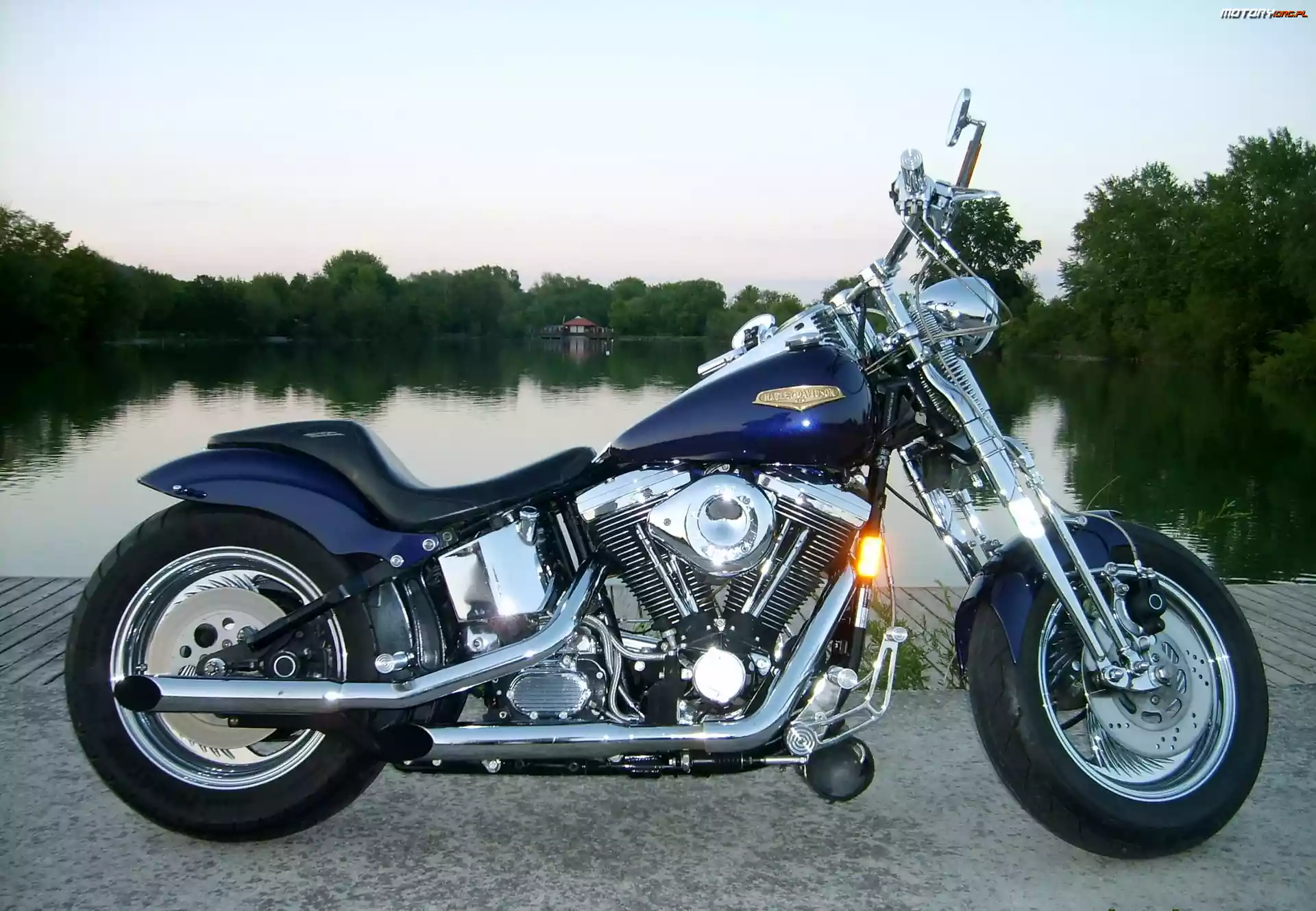 Motor, Harley-Davidson Springer