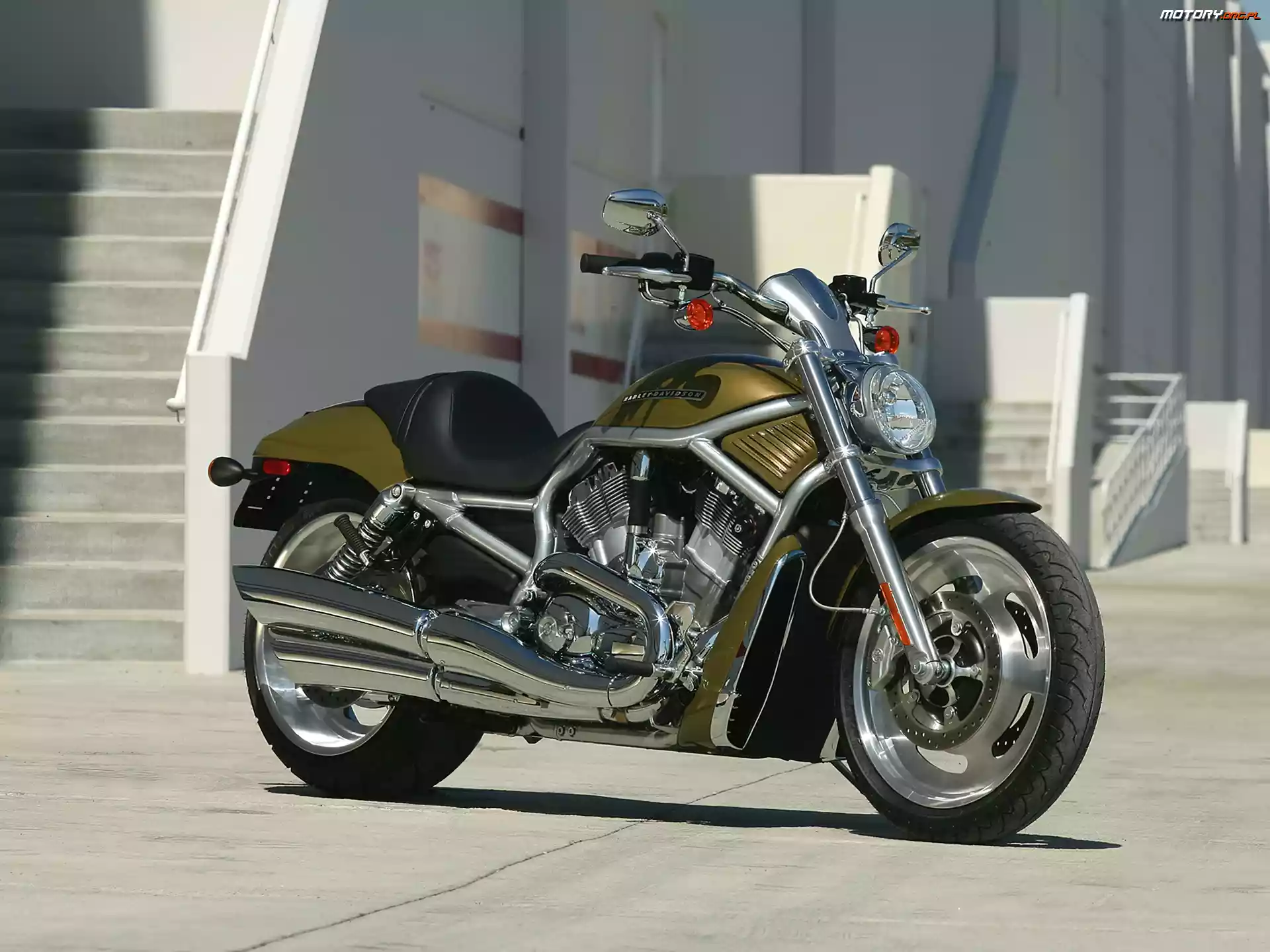 Harley Davidson V-Rod, Oliwkowy