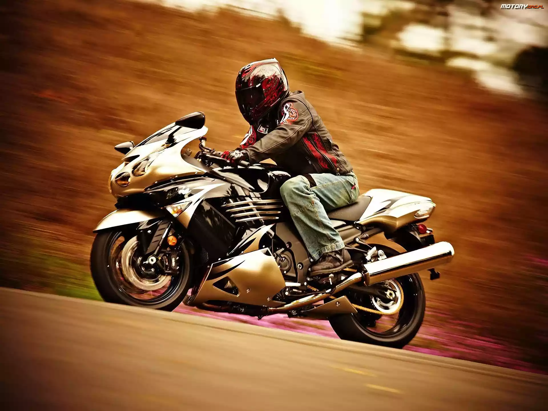 Motocyklista, Suzuki GSX 1300R Hayabusa