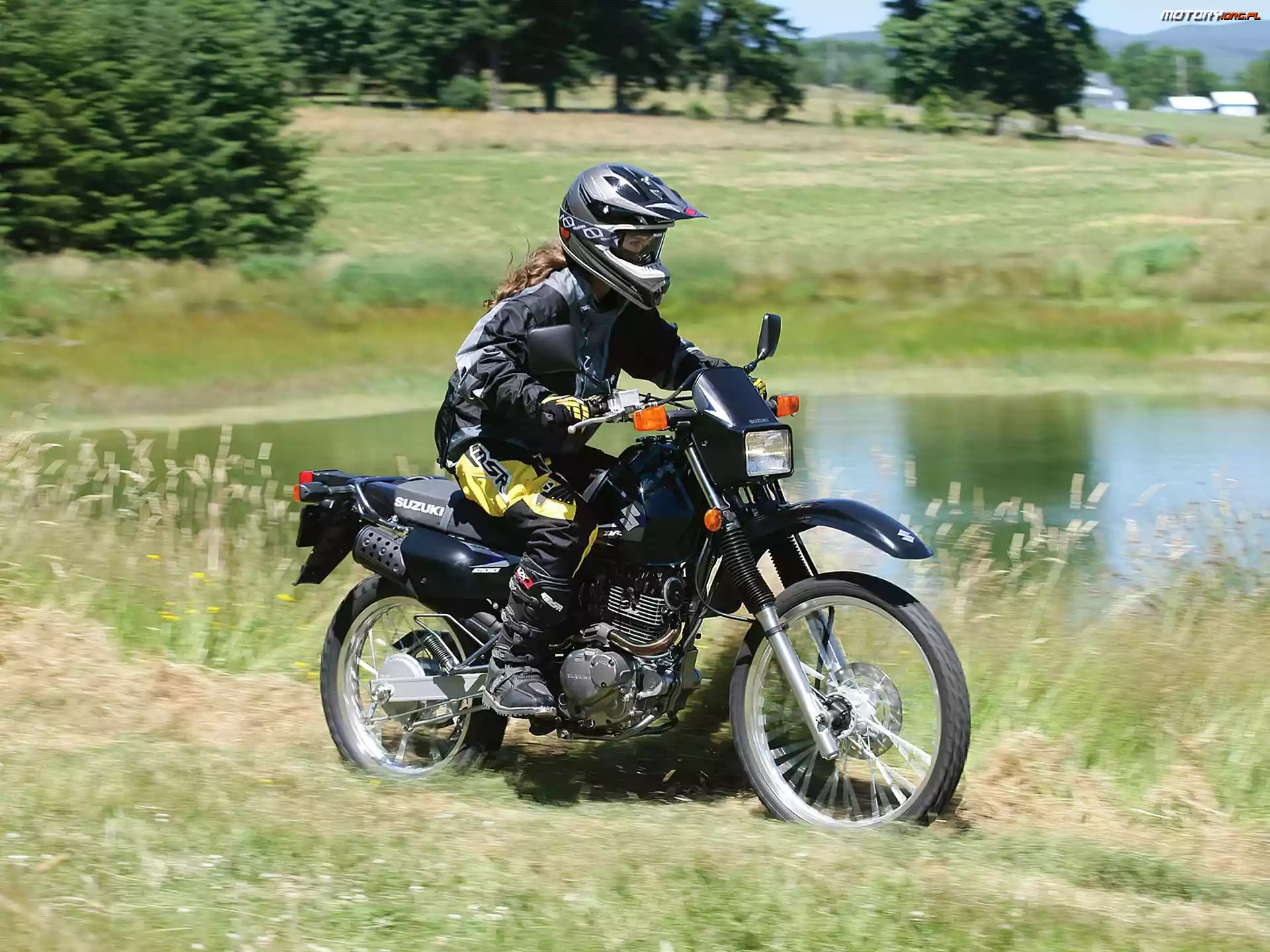 Pole, Suzuki DR 200 SE