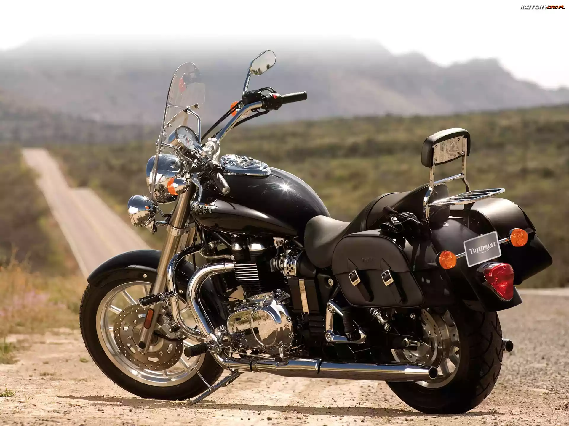 Gmole, Triumph America, Sakwy
