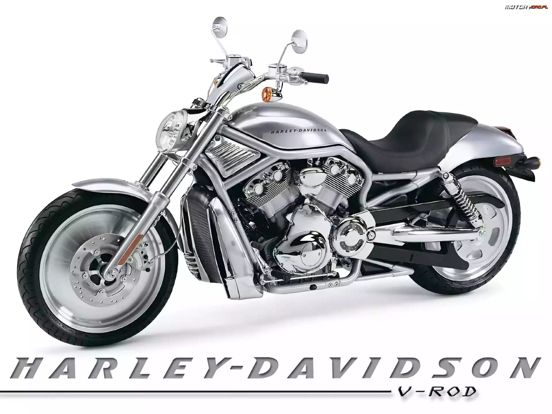 Srebrny Metalik, V-Rod Muscle