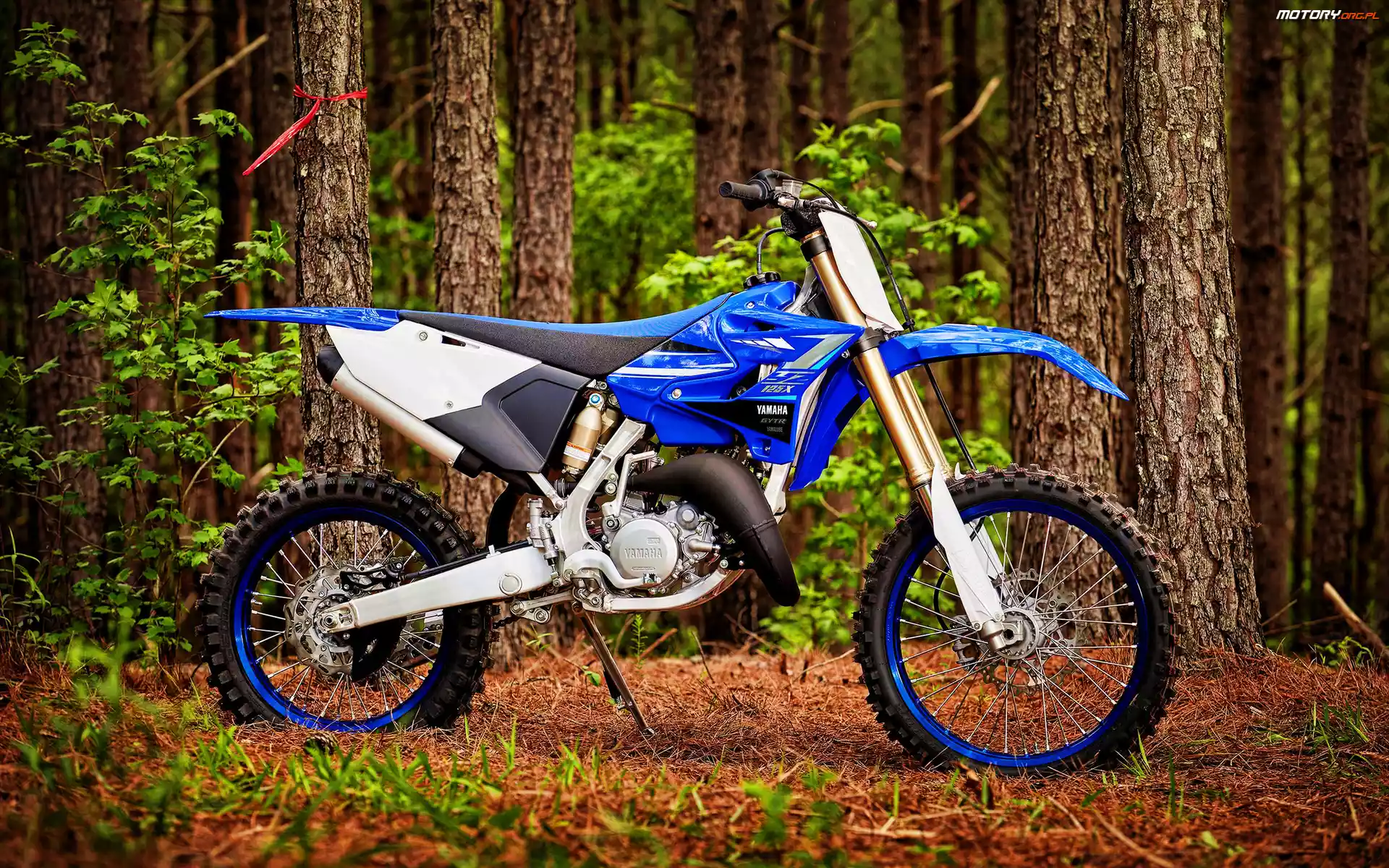 Yamaha YZ125X, Motocykl, Las, Drzewa, Terenowy, 2020